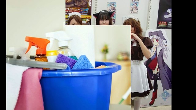 Best Tidy Maids House Cleaning