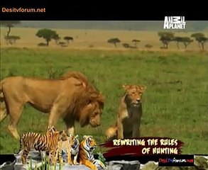 Wildwives Of Savannah Lane 22nd January 2015 Video Watch Online Pt1