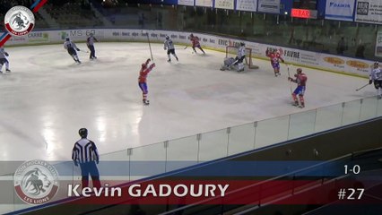 Ligue Magnus : LHC Les Lions vs Les Albatros de Brest 16/01/14