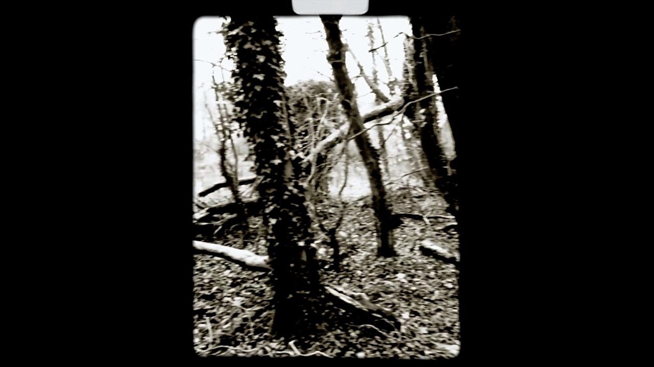 portfolio 1