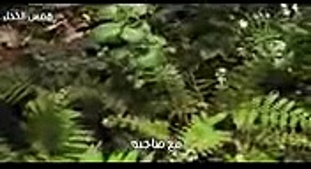 الشيخ نبيل العوضى_ اجر حافظ القران