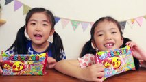 Kracie どうぶつグミ図鑑 　Animal gummy candy making kit