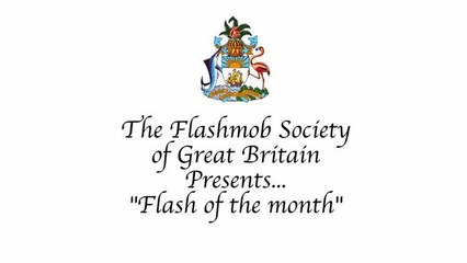 Life Coaching: The Royal Flash Mob Society Part 1