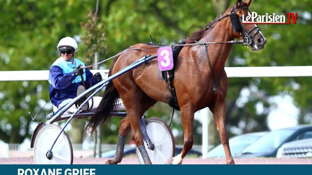 L'écurie du Parisien. Le Prix d'Amérique 2015