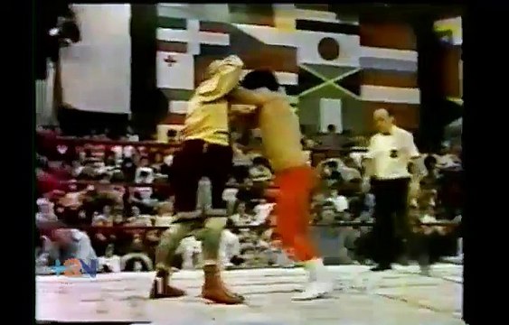 Series de antaño: Reviva lo mejor de Titanes en el ring