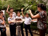 Mariposas le dan la bienvenida en el Museo Nacional