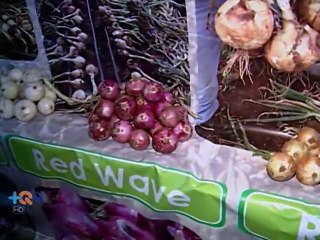 Tierra Blanca celebra con recetas de papa y cebolla