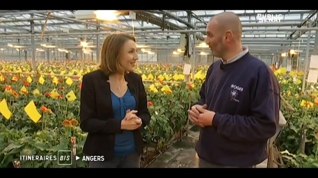 Angers, ville humaine - Itinéraires Bis