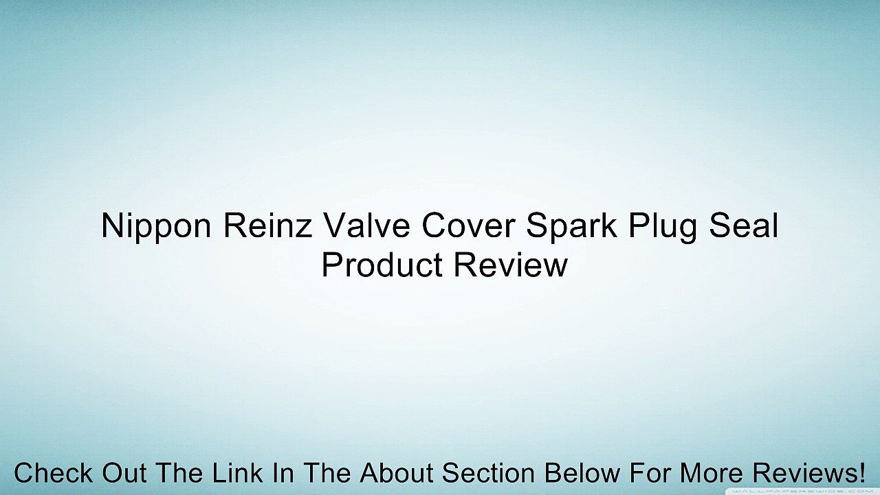 Nippon Reinz Valve Cover Spark Plug Seal Review