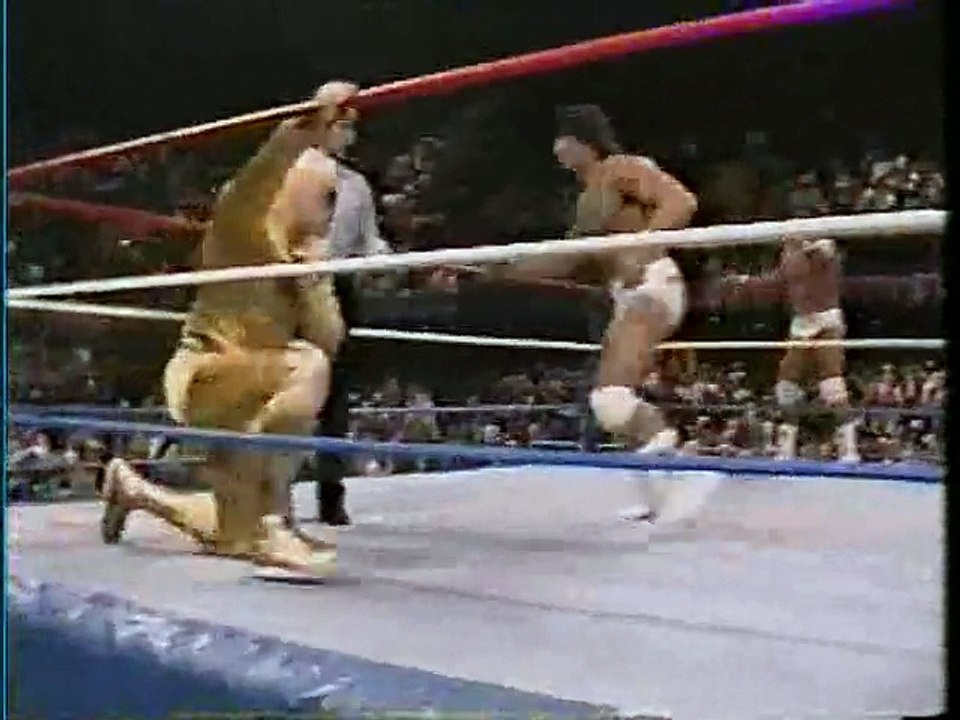 WWF Superstars 1987-12-05
