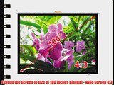Antra Electric Motorized 180 4:3 Projector Projection Screen Low Noise Tubular Motor (180 4:3