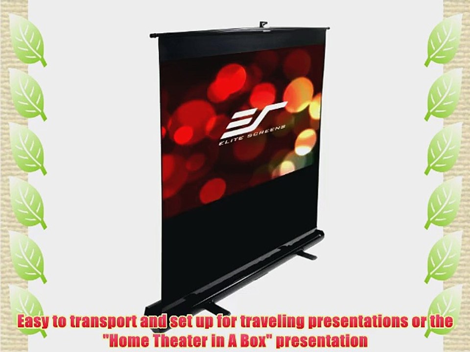 Elite Screens F72NWV ezCinema Series Portable Projection Screen (72 Diag. 4:3 43.2Hx57.6W)