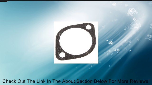 Ishino Thermostat Gasket Review