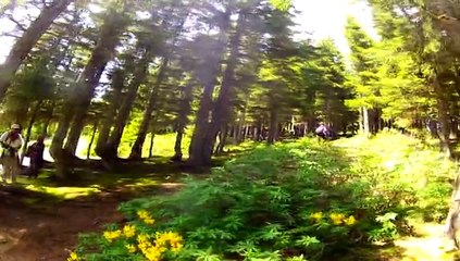 karadeniz yaylaları