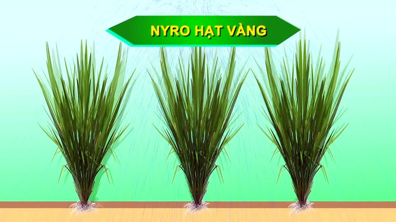Sản xuất phim quảng cáo 3d