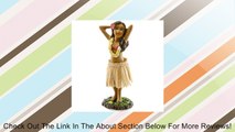 Miniature Dashboard Hula Doll - Hula Girl Posing Review
