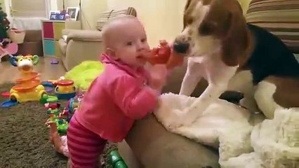 Cute Baby Doesn t Want To Share Toy With Dog