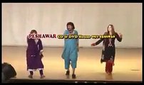 Pashto New Show (Za Masta Laila Yam) - Da Marg Dawa - Swate Neelam & Nadia Gul