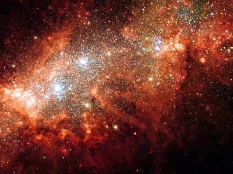 Tg di tcsnews del 22 Gennaio 2015