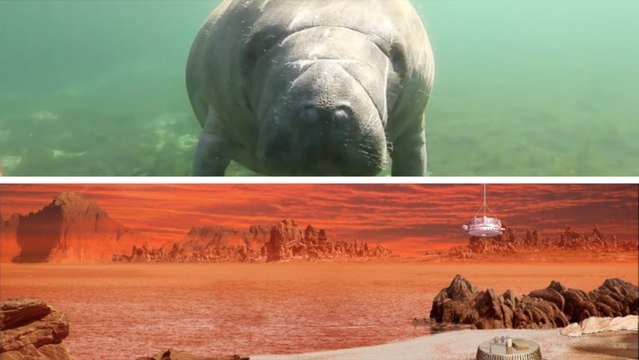 Zapping : sculptures hypnotisantes, chocolat imprimé en 3D et drone sous-marin