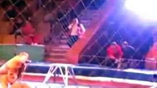 OMG - Live Attack of Lion during CIRCUS Show