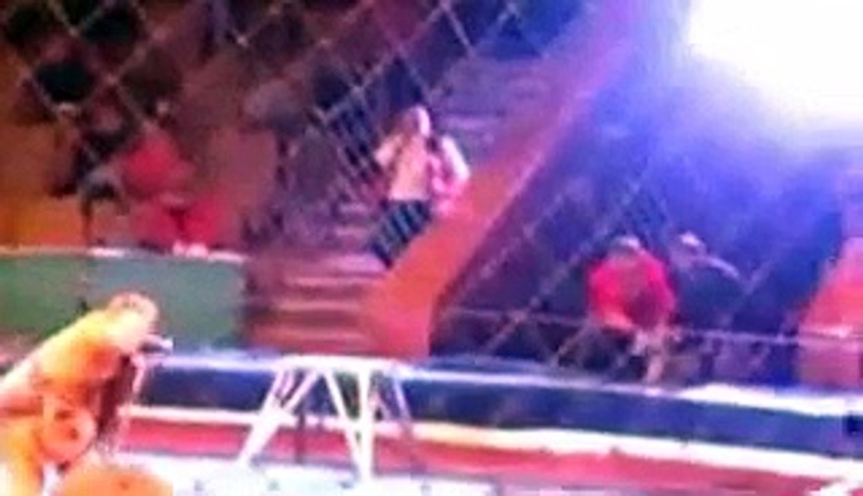 OMG - Live Attack of Lion during CIRCUS Show