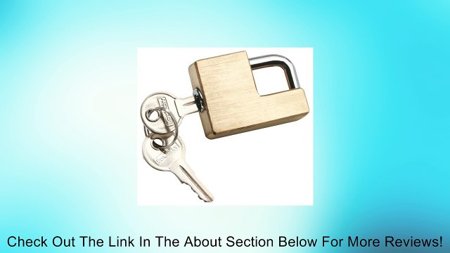 Reese Towpower 7005300 Brass Coupler Lock Review