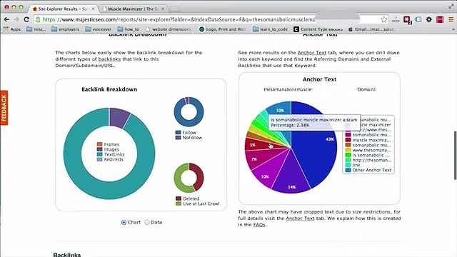 SEO Link Building Basics Video Tutorials_The Importance Of Anchor Text Diversity 5