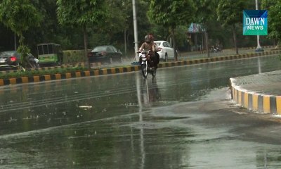 Cold wave grips different cities of country