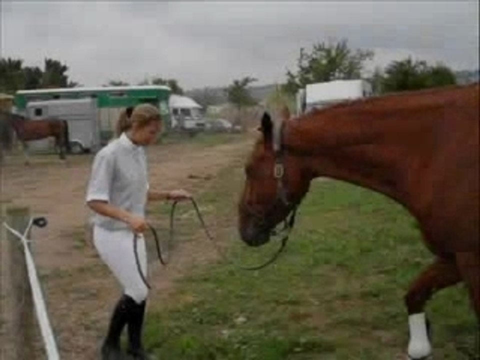 Libre comme l'air...