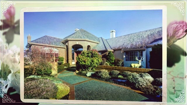 Aloha Landscaping & Maintenance (520) 331-6196