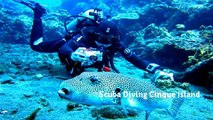Andaman and Nicobar Islands Heavens for Scuba Diving
