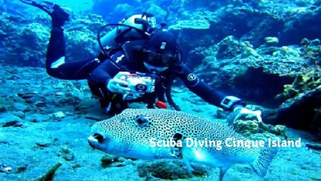 Andaman and Nicobar Islands Heavens for Scuba Diving