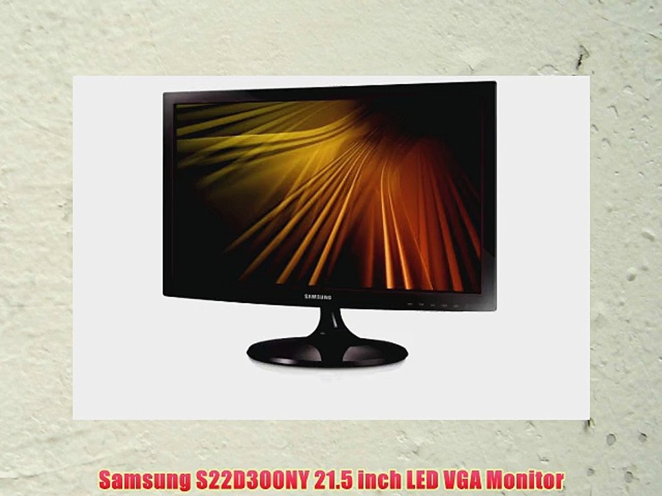 Samsung S22D300NY 21.5 inch LED VGA Monitor