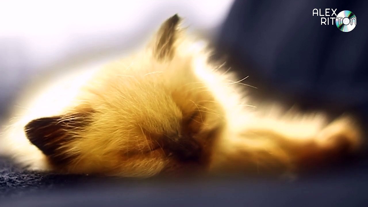 David Guetta Feat Sia - Beautiful People Say