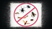 Pest Control Agoura Hills