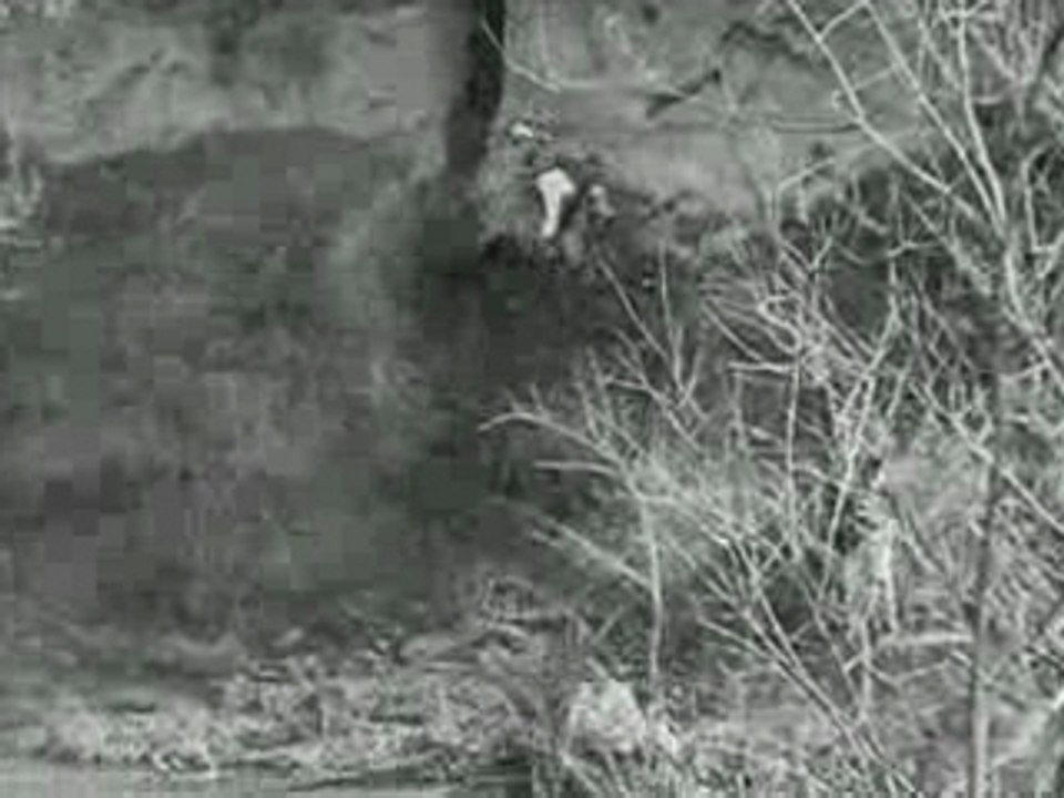 By Indian Post (John Ford - 1919)