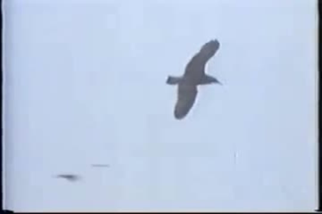 Filmmaker A Diary By George Lucas (English) HD