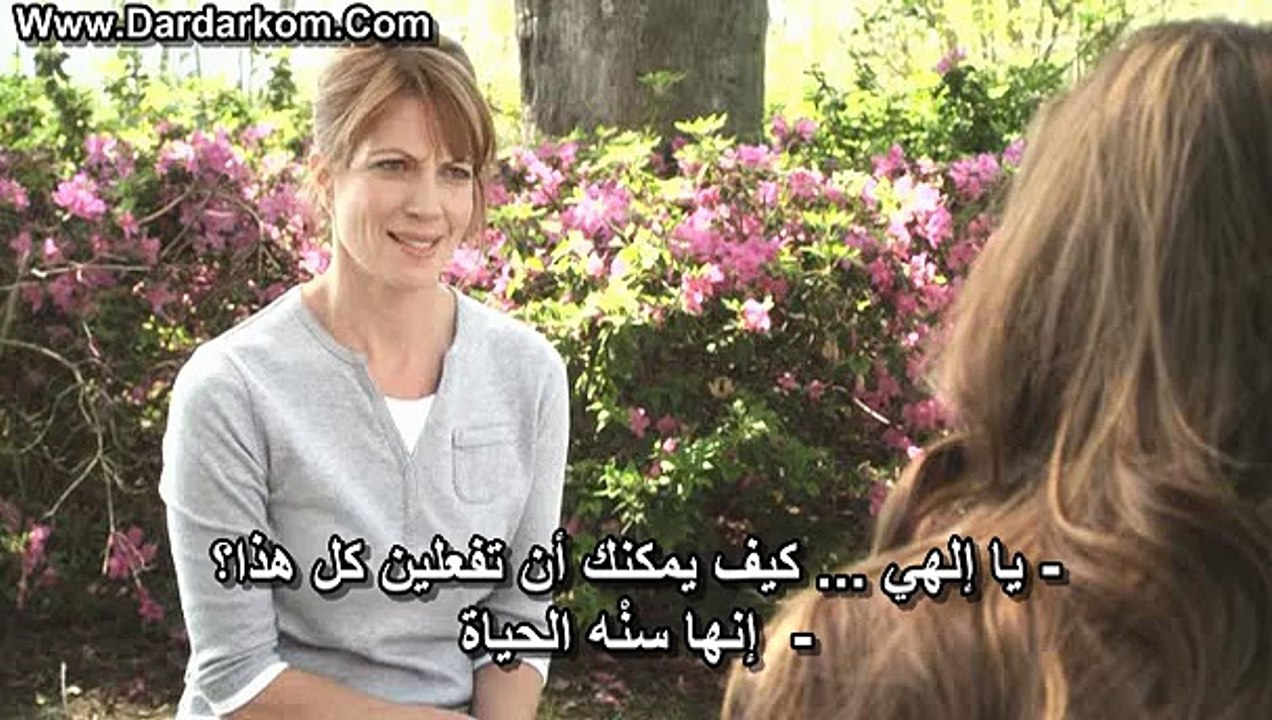 كلب مدنق