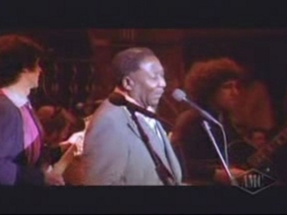 Muddy Waters - Mannish Boy