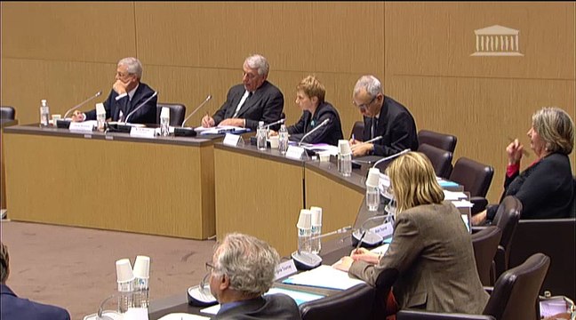 Seybah Dagoma - Mission sur l'avenir des institutions - 16 janvier 2015