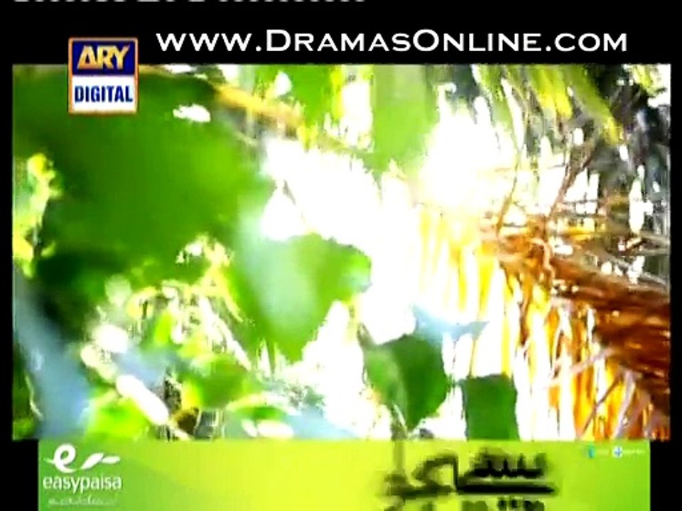 Haq Meher Episode 19 - Full