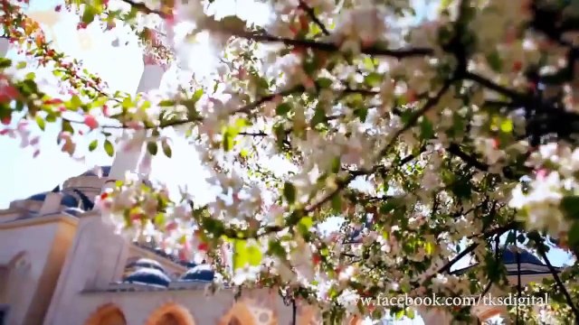 Pashto Naat - Pashto Hamd Ya Rabil Alameen So Amazing