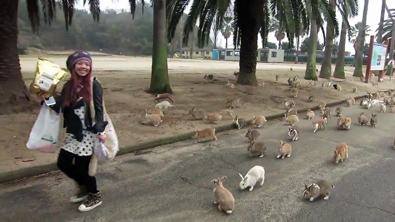 Rabbit gang