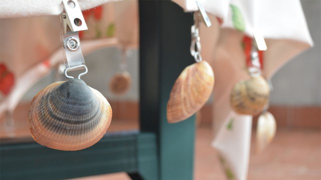 Sujeta manteles para jardín con conchas marinas