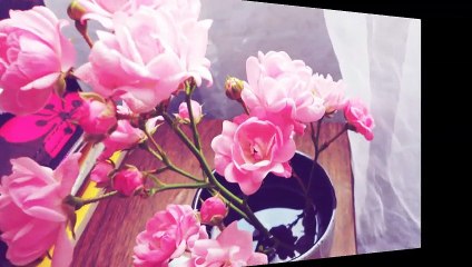 Surah 112. The Unity, Sincerity, Oneness Of Allah.