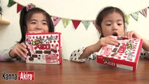 meiji 手作りアポロ　Meiji Tezukuri Apollo Chocolate Kit