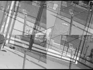 Speed jungle (1) 23.01.2015