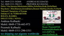 AMSTERDAM WYSYLKA GOLEBI DO USA NEW YORK, KULBACKI RACING PIGEON STUD- Hodowla Gołębi Sportowych!