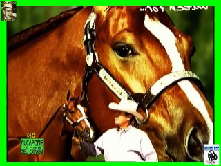 Crimenes Imperfectos (39)